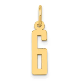 14K Yellow Gold Polished Finish Small Size Elongated Shape Number 6 Charm Pendant