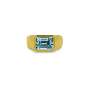 Bezel Set Gemstone Signet Ring