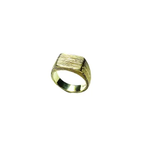 Raw Signet gold plated silver ring