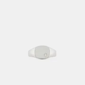 Silver Diamond Birthstone Ring