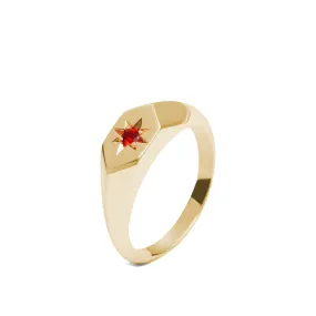 Starlight Mozambique Garnet Birthstone 9ct Gold Signet Ring