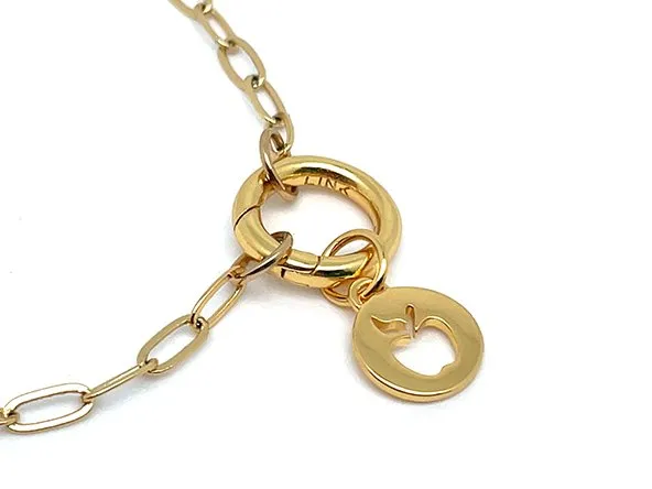 Treasure Box | Gold Apple Charm