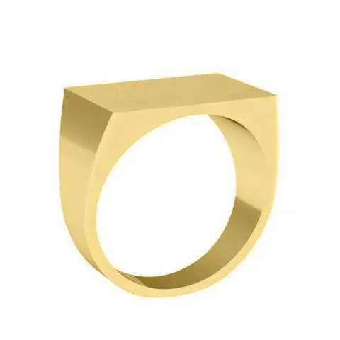 Wide Rectangular Signet Ring for Men - 19mm x 12mm