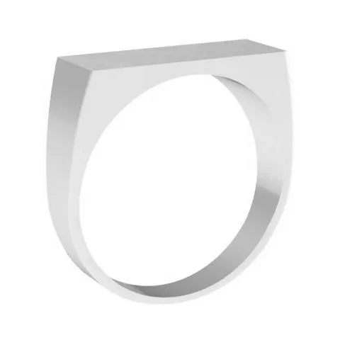 Wide Rectangular Signet Ring for Women - 16mm x 6mm