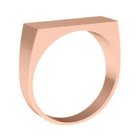 Wide Rectangular Signet Ring for Women - 16mm x 6mm